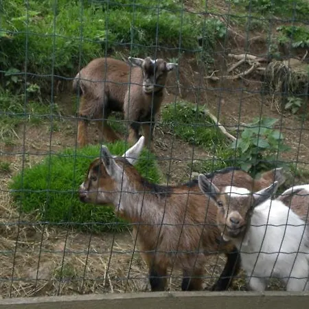 Tiefengraber * 바이츠