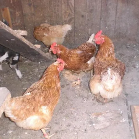 아파트 Tiefengraber *