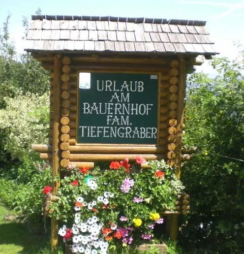 Tiefengraber 公寓 魏茨