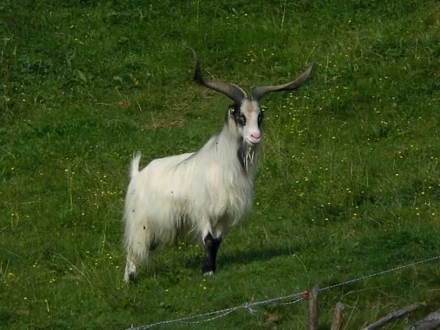 Appartamento Tiefengraber