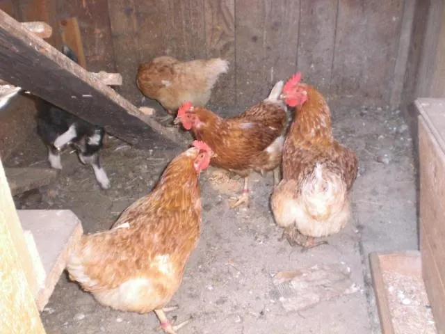 아파트 Tiefengraber *